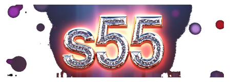 s55 logo